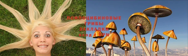 шишки Абдулино