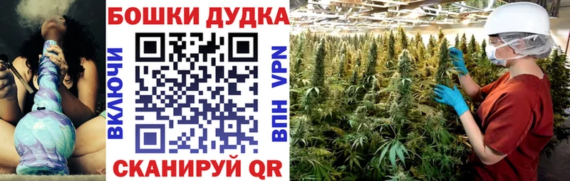 блэк спрут как зайти  Зарайск  МАРИХУАНА ГИДРОПОН 